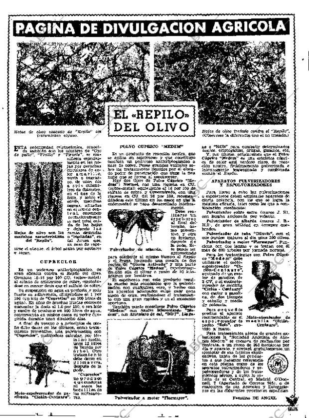 ABC MADRID 31-08-1962 página 7