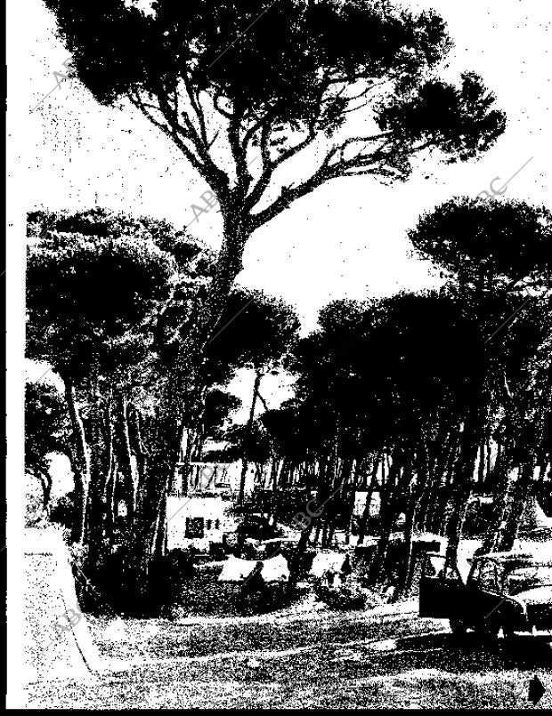 BLANCO Y NEGRO MADRID 01-09-1962 página 51