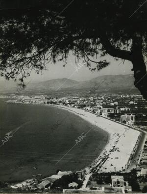 Playa de Benidorm