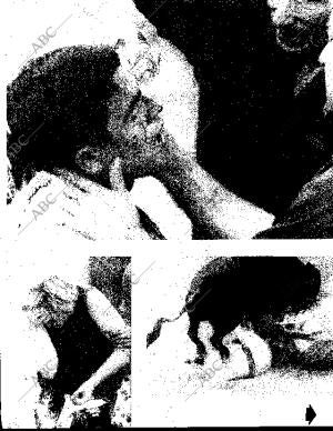 BLANCO Y NEGRO MADRID 08-09-1962 página 51