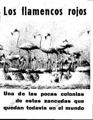 BLANCO Y NEGRO MADRID 08-09-1962 página 64