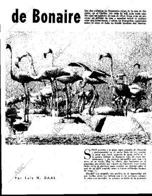 BLANCO Y NEGRO MADRID 08-09-1962 página 65