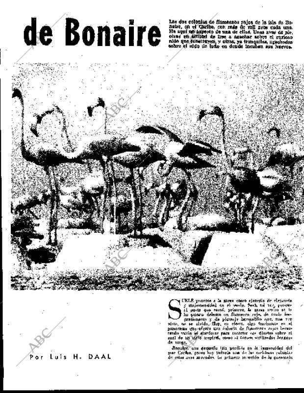 BLANCO Y NEGRO MADRID 08-09-1962 página 65