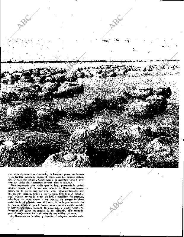 BLANCO Y NEGRO MADRID 08-09-1962 página 68