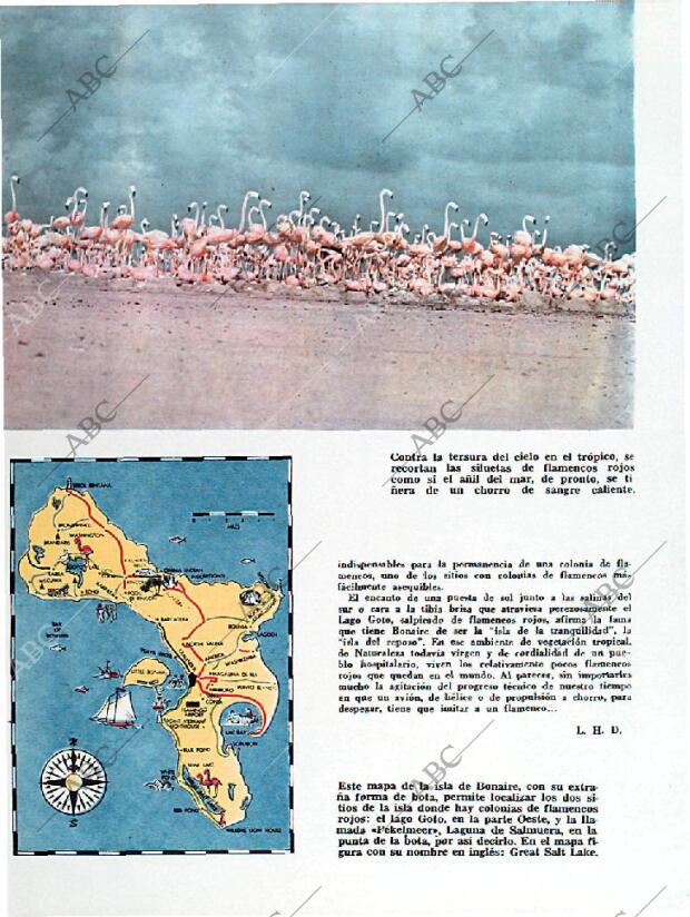 BLANCO Y NEGRO MADRID 08-09-1962 página 72