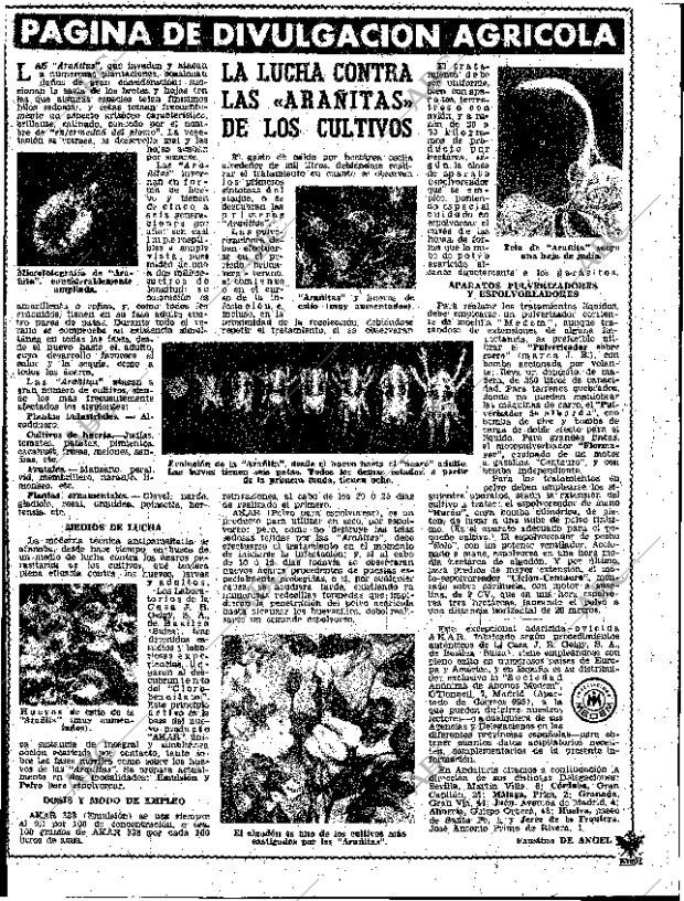 ABC SEVILLA 09-09-1962 página 24