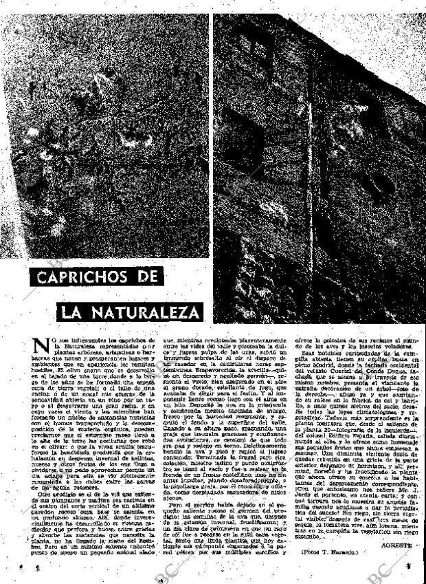 ABC MADRID 13-09-1962 página 15