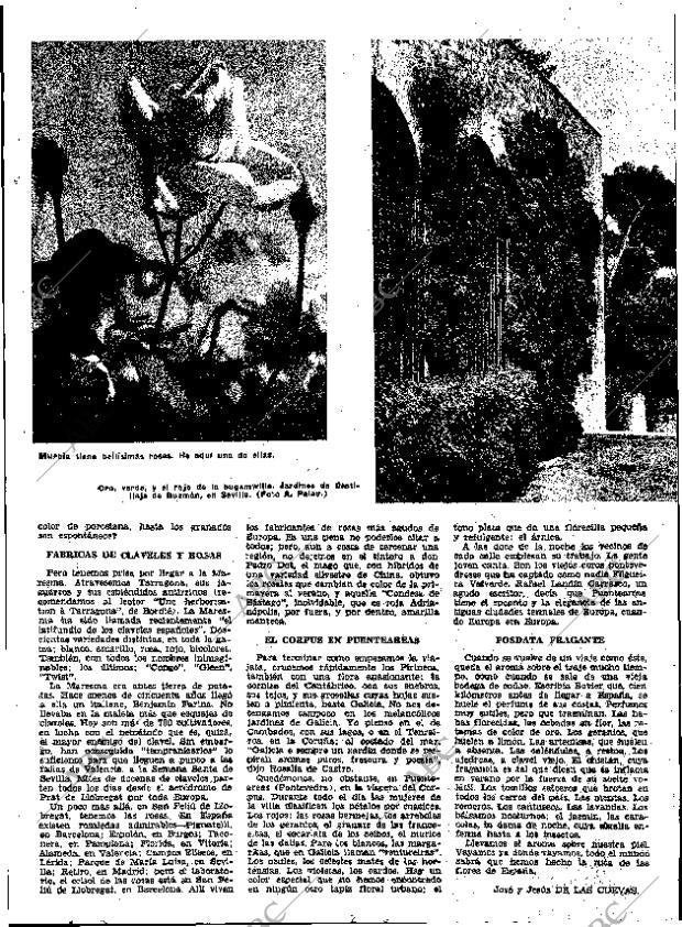 ABC MADRID 07-10-1962 página 11