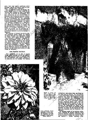 ABC MADRID 07-10-1962 página 7