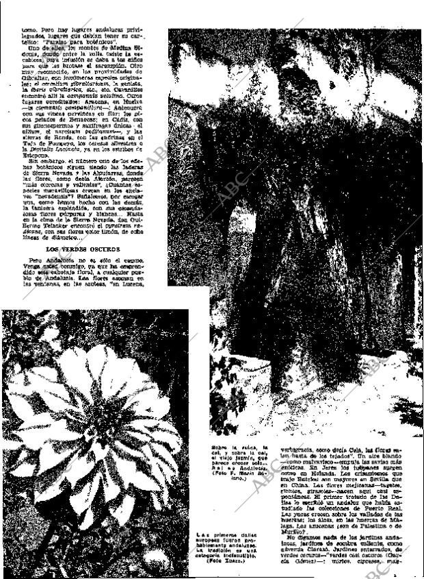 ABC MADRID 07-10-1962 página 7