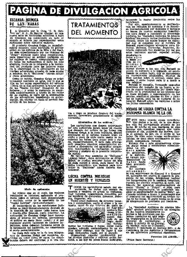 ABC MADRID 12-10-1962 página 15
