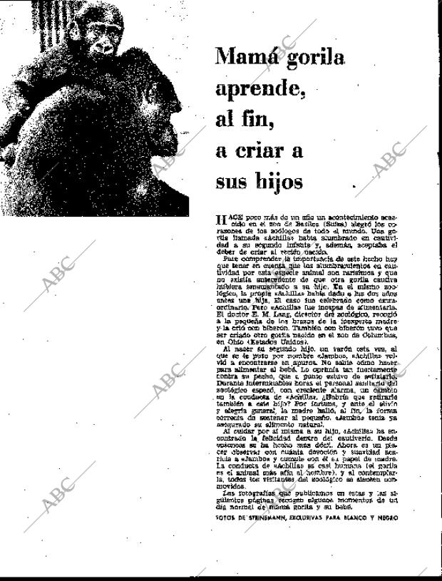BLANCO Y NEGRO MADRID 10-11-1962 página 26