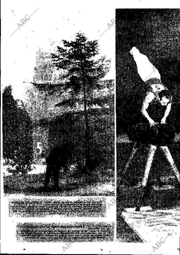ABC MADRID 11-11-1962 página 67