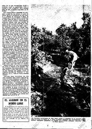 ABC MADRID 23-11-1962 página 23