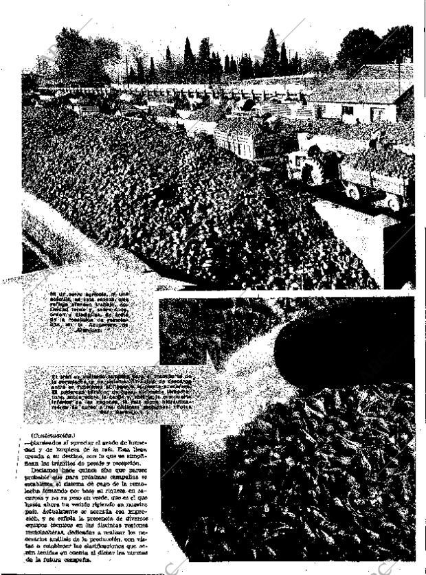 ABC MADRID 28-12-1962 página 37