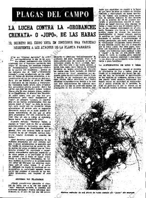 ABC MADRID 28-12-1962 página 41