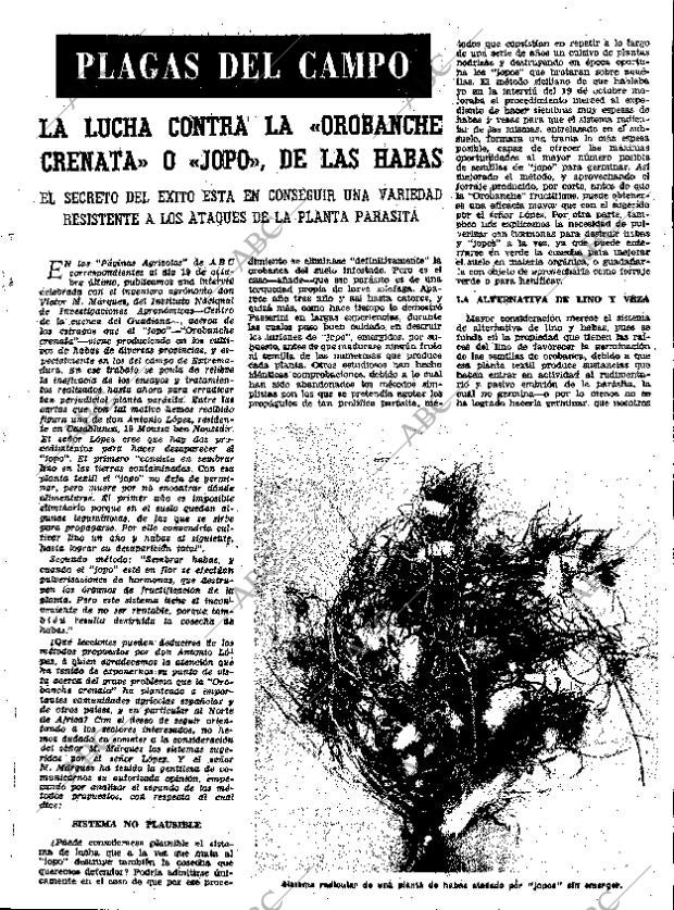 ABC MADRID 28-12-1962 página 41