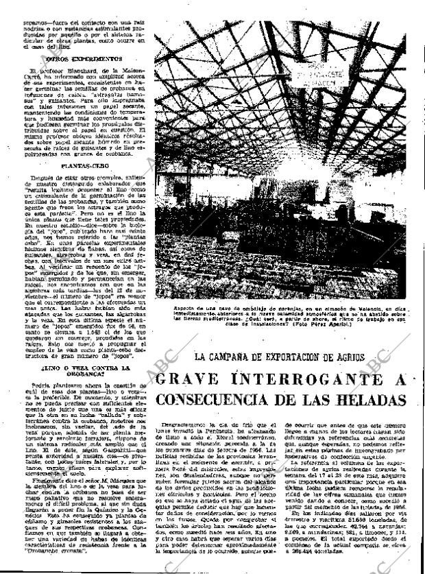 ABC MADRID 28-12-1962 página 43