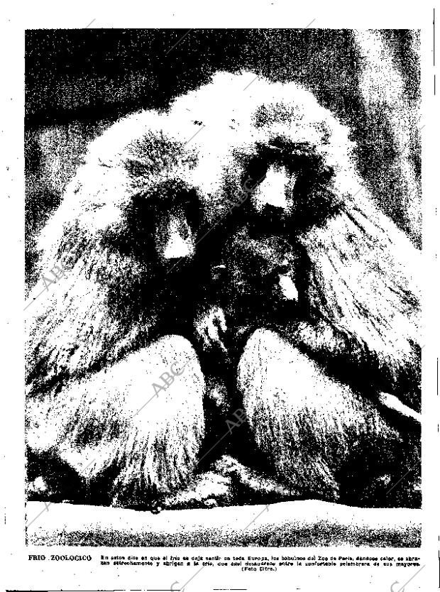 ABC MADRID 30-12-1962 página 71