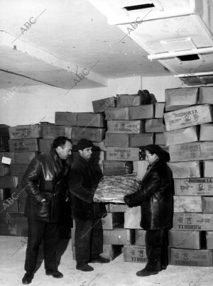 Almacenamiento de pescado Congelado en Cajas de cartón