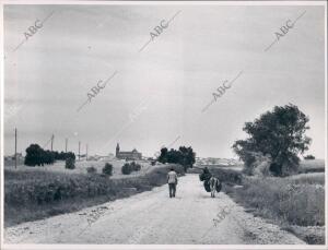 Al Fondo, el pueblo de Moguer (Huelva)