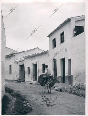 Una calle Típica de Moguer