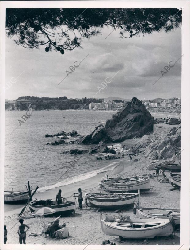 Bañistas en la costa de Lloret de mar