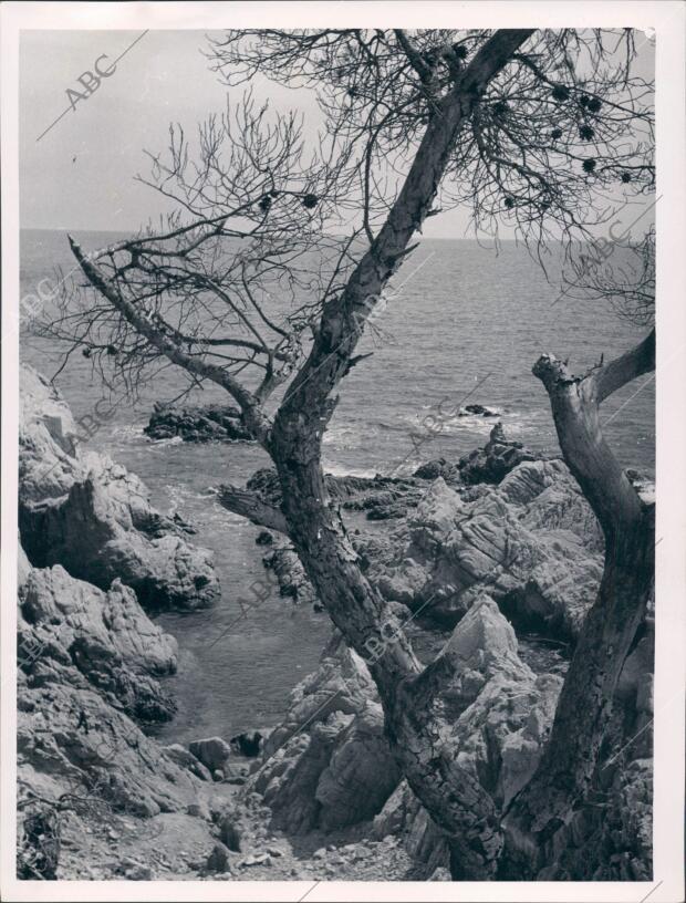 Vista del mar en Lloret de mar