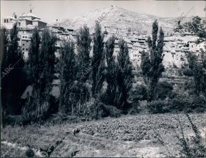 Vista parcial del pueblo de Pastrana Impedida por los Pinos que Rodean A este...