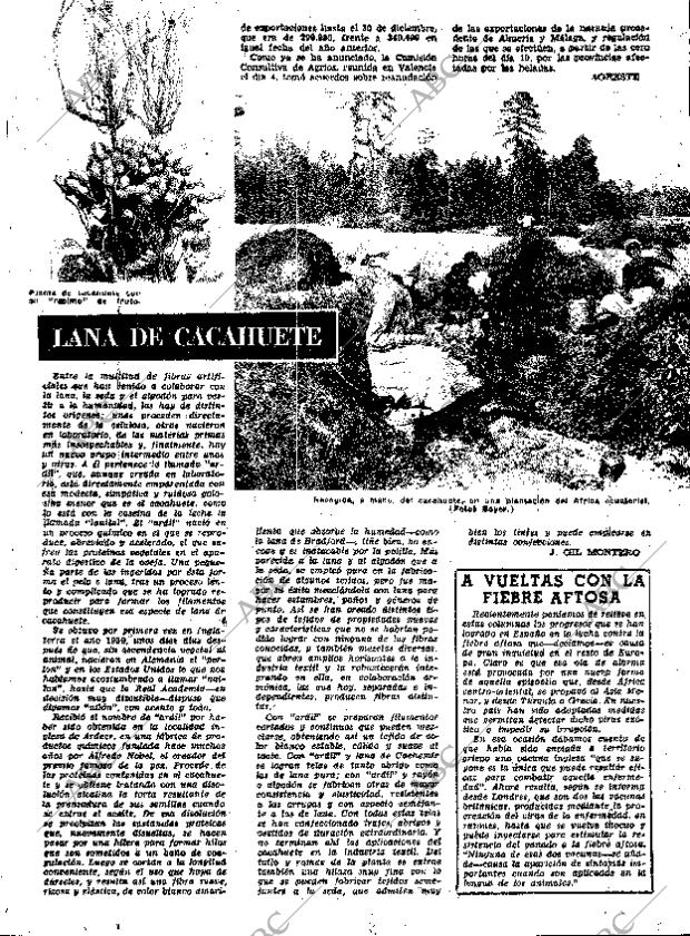 ABC MADRID 11-01-1963 página 21