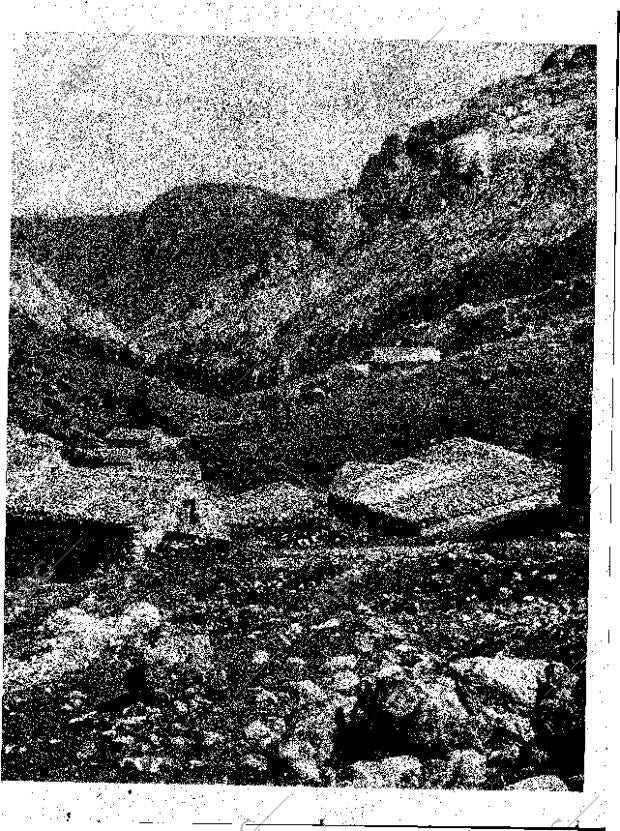 ABC MADRID 15-01-1963 página 19