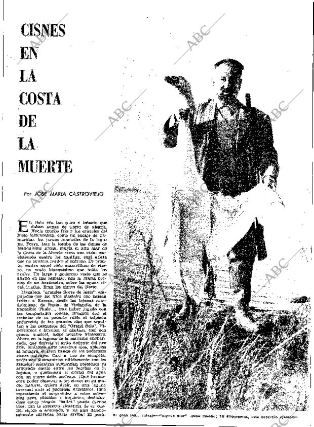 ABC MADRID 19-02-1963 página 31