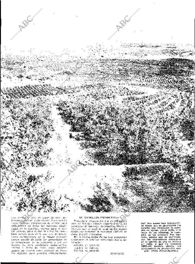 ABC MADRID 22-02-1963 página 23