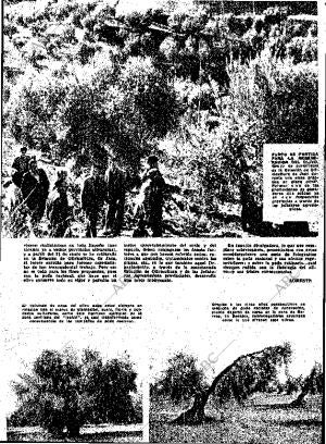 ABC MADRID 01-03-1963 página 23