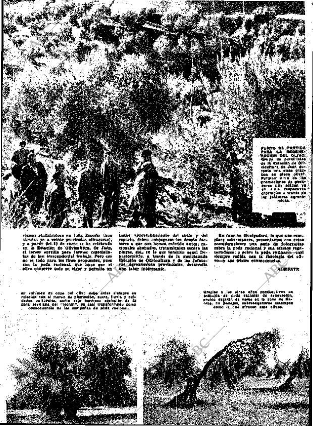 ABC MADRID 01-03-1963 página 23