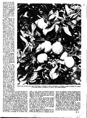 ABC MADRID 19-03-1963 página 17