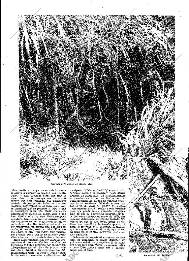 ABC MADRID 04-04-1963 página 33