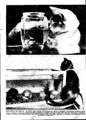 ABC MADRID 06-04-1963 página 37