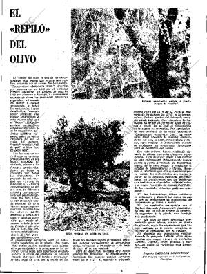 ABC SEVILLA 24-04-1963 página 27