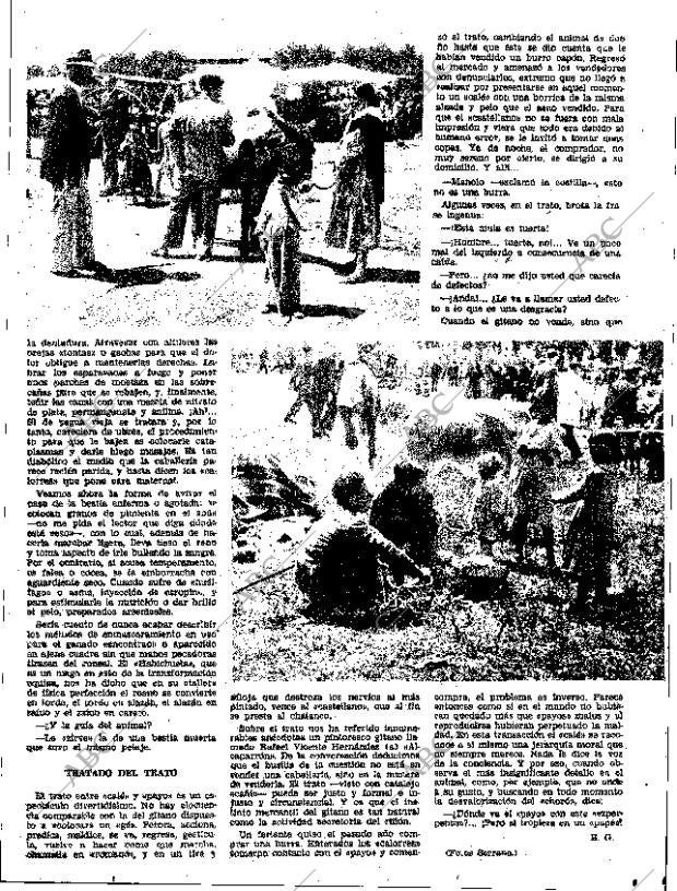 ABC SEVILLA 25-04-1963 página 19