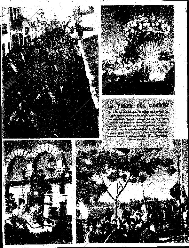 ABC SEVILLA 14-05-1963 página 22