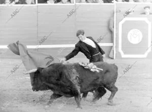 En el festival de El Pardo