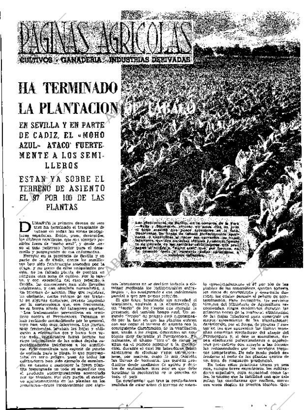 ABC MADRID 19-07-1963 página 20