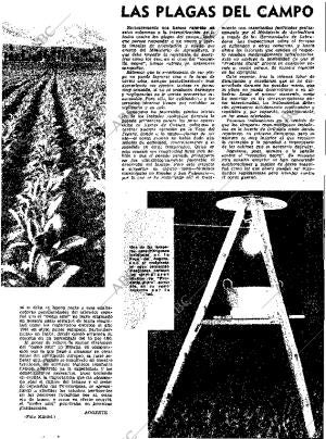 ABC MADRID 19-07-1963 página 21