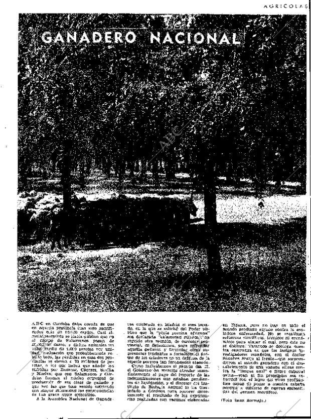 ABC MADRID 19-07-1963 página 23