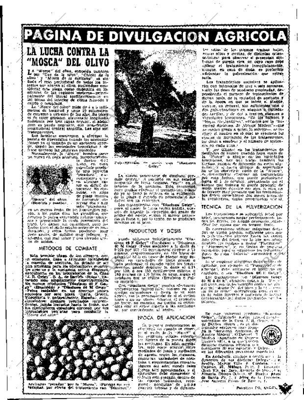 ABC SEVILLA 04-08-1963 página 21