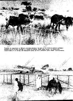 BLANCO Y NEGRO MADRID 07-09-1963 página 52