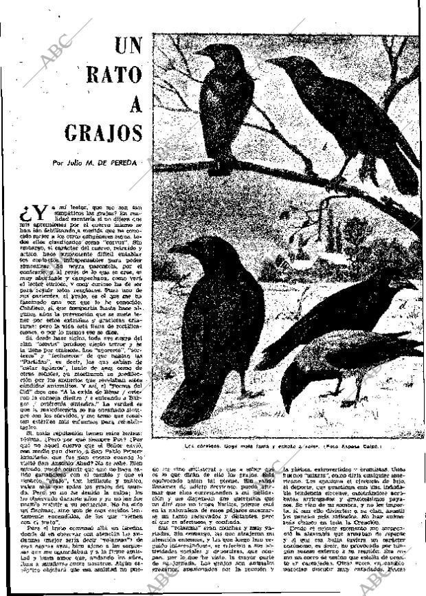 ABC MADRID 02-10-1963 página 28