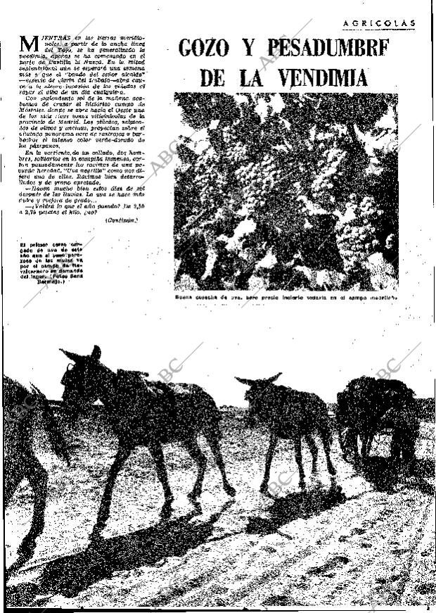 ABC MADRID 04-10-1963 página 37