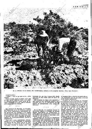 ABC MADRID 04-10-1963 página 41